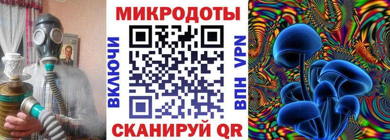 Псилоцибиновые грибы Psilocybe  Купить закладки  Нижний Новгород 